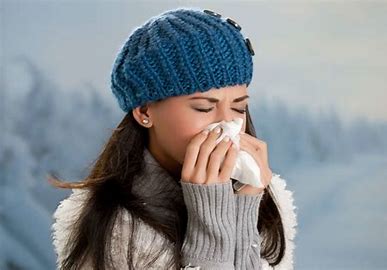 Foods to Boost Your Immune System and Ward Off Colds